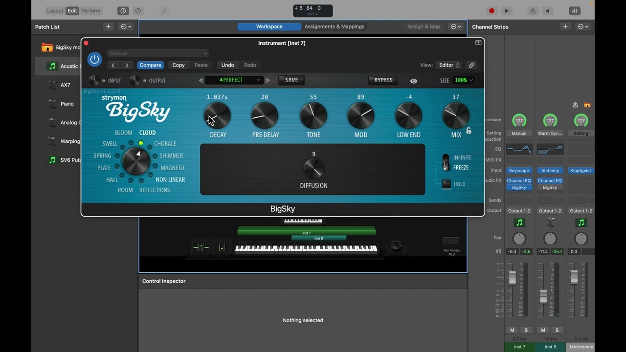 BIGSKY plugin main stage review
