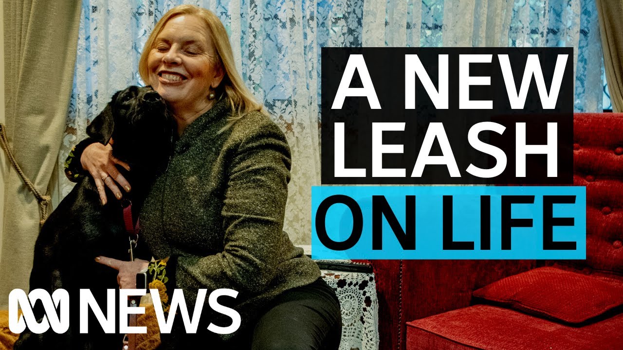 Meeting your new guide dog for the first time | ABC News