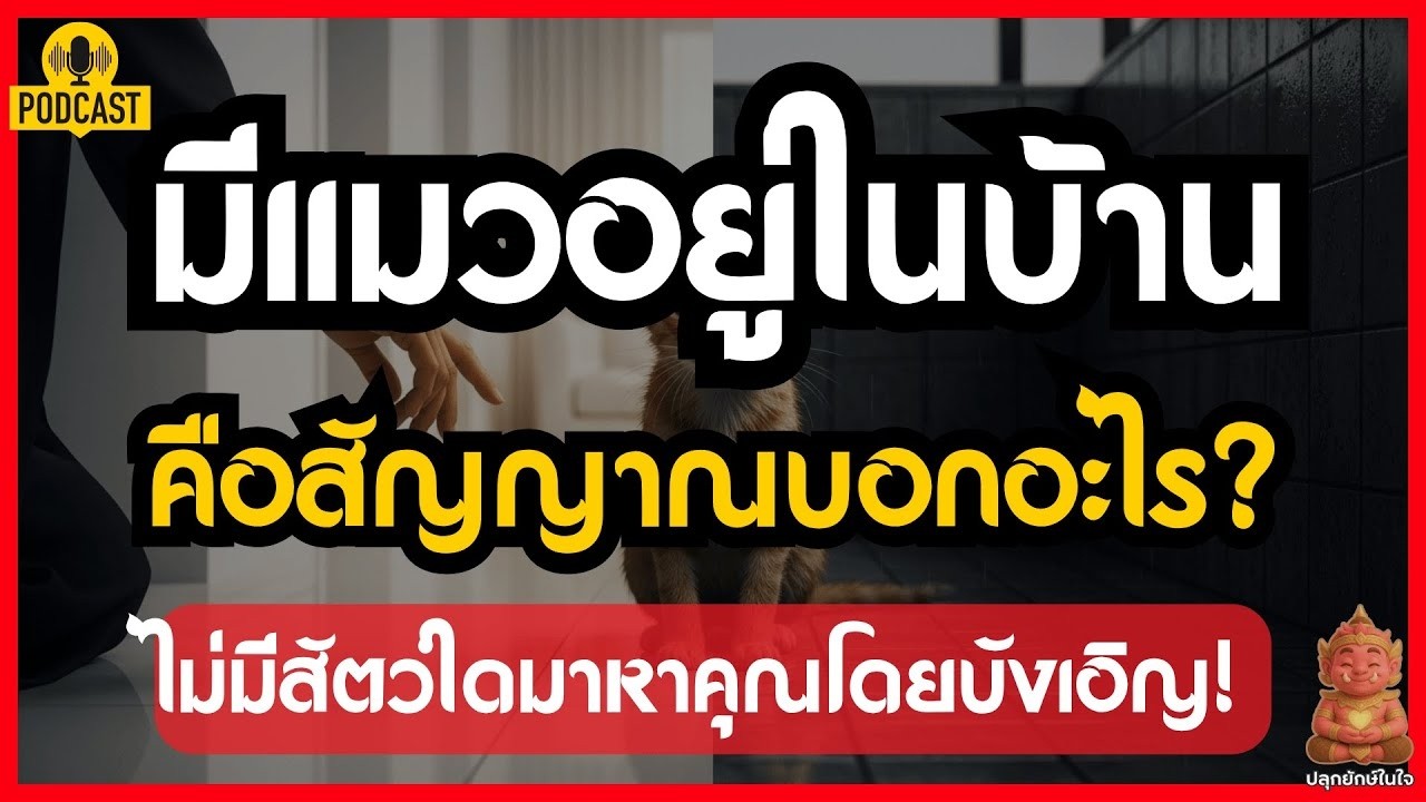 มีแมวอยู่ในบ้านคือสัญญาณบอกอะไร? เปิดกรรม 3 ข้อที่ซ่อนอยู่ | #ปลุกยักษ์ในใจ (ภาพประกอบใหม่)