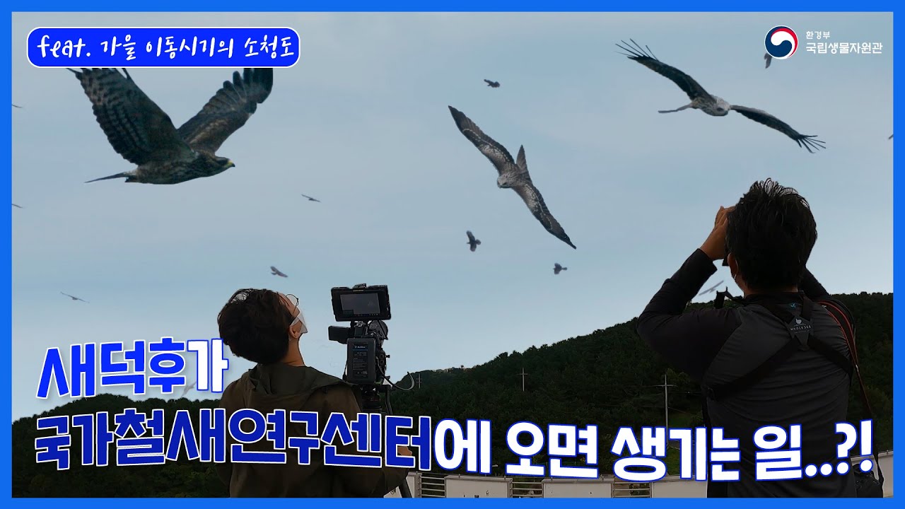 [국가철새연구센터 X 새덕후 콜라보 Ep.1] 다시 돌아온 새덕후, 이번에는 어떤 철새를 만날 수 있을까? (feat. 가을 이동시기)