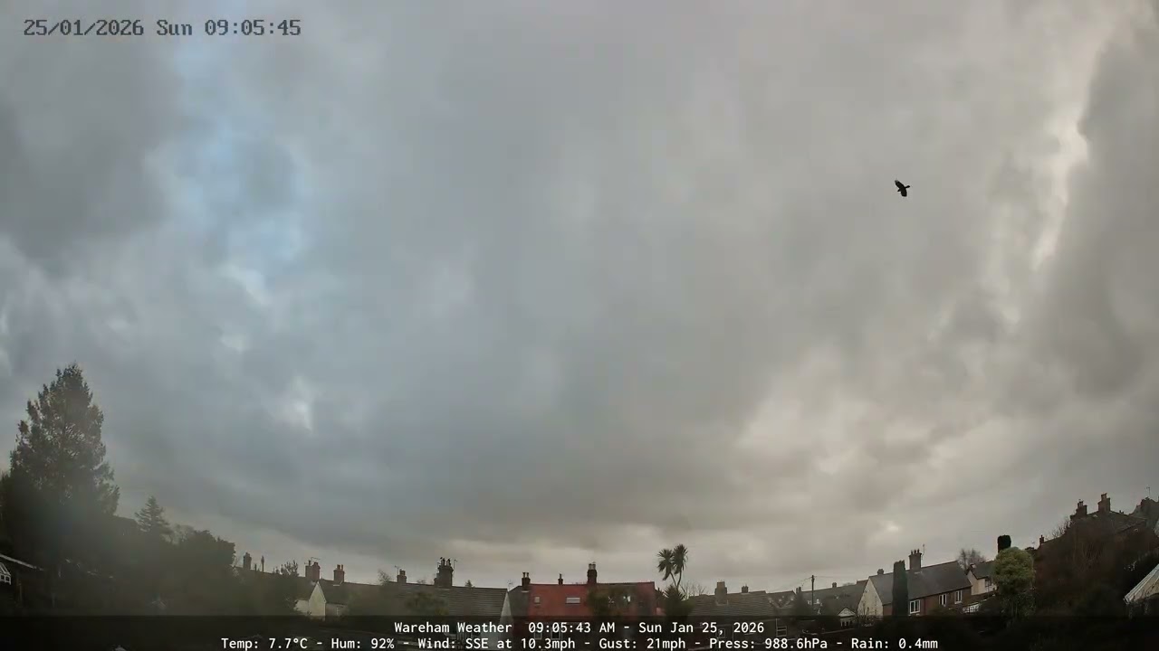 Wareham - Daily Time-lapse - 25/01/2026