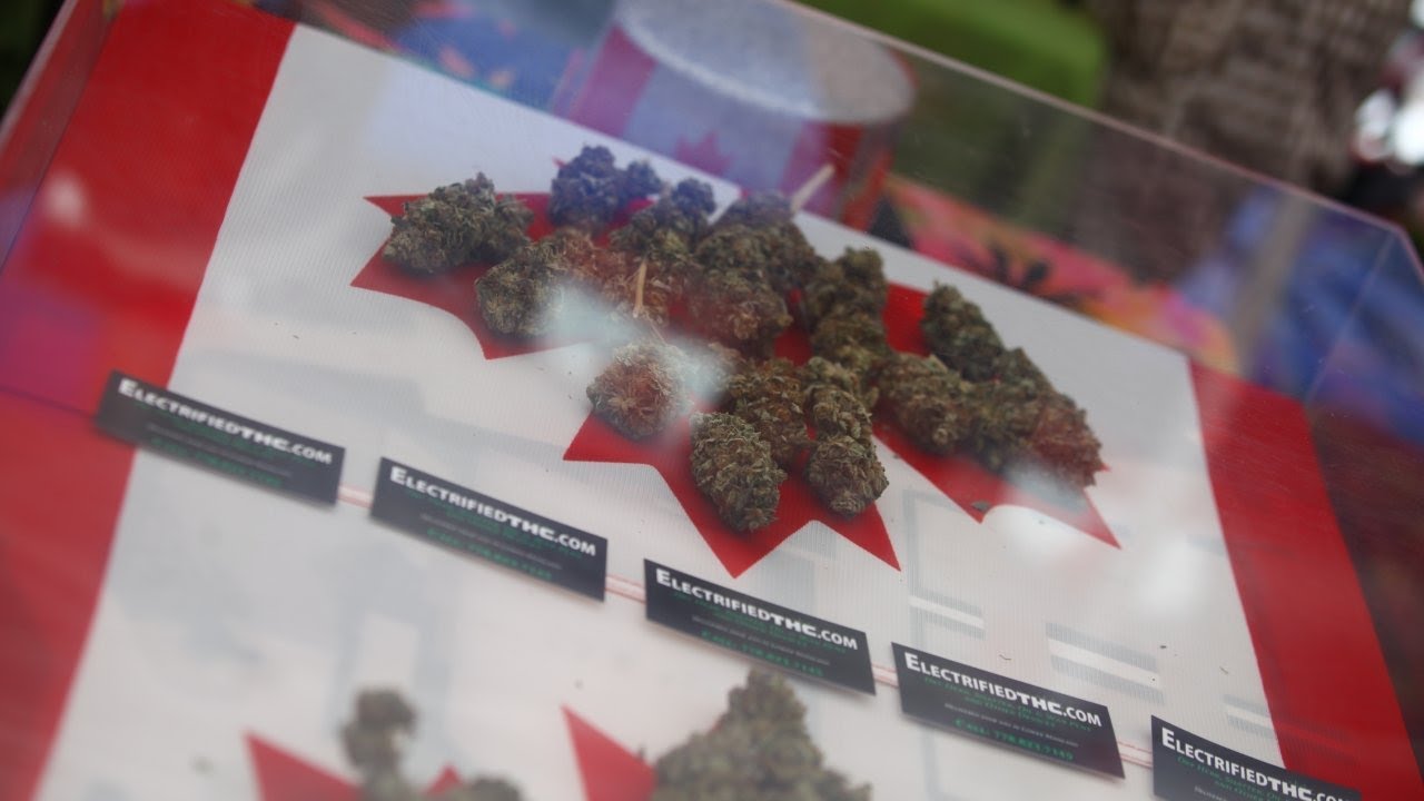 Canadian cannabis users could face lifetime ban