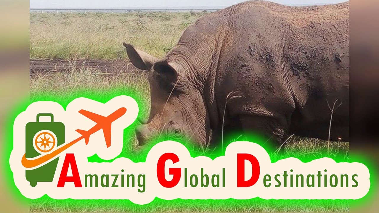 AGD - Review Safari Tour – Nairobi National Park Game Drive Experience