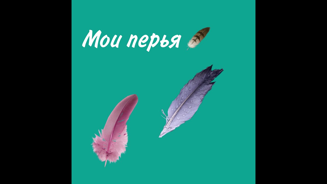 мои любимые перья с их историей