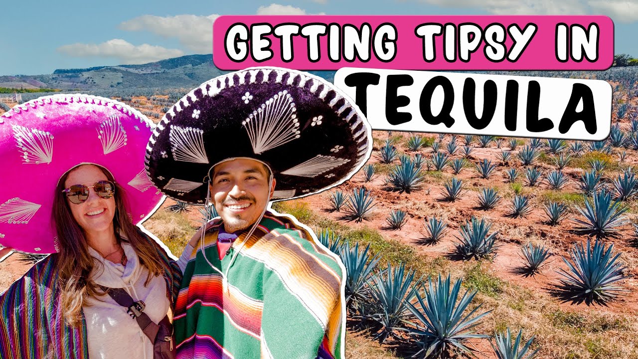 Ultimate Day Trip to Tequila Mexico from Guadalajara 🇲🇽 🥃 | MUST do Tour