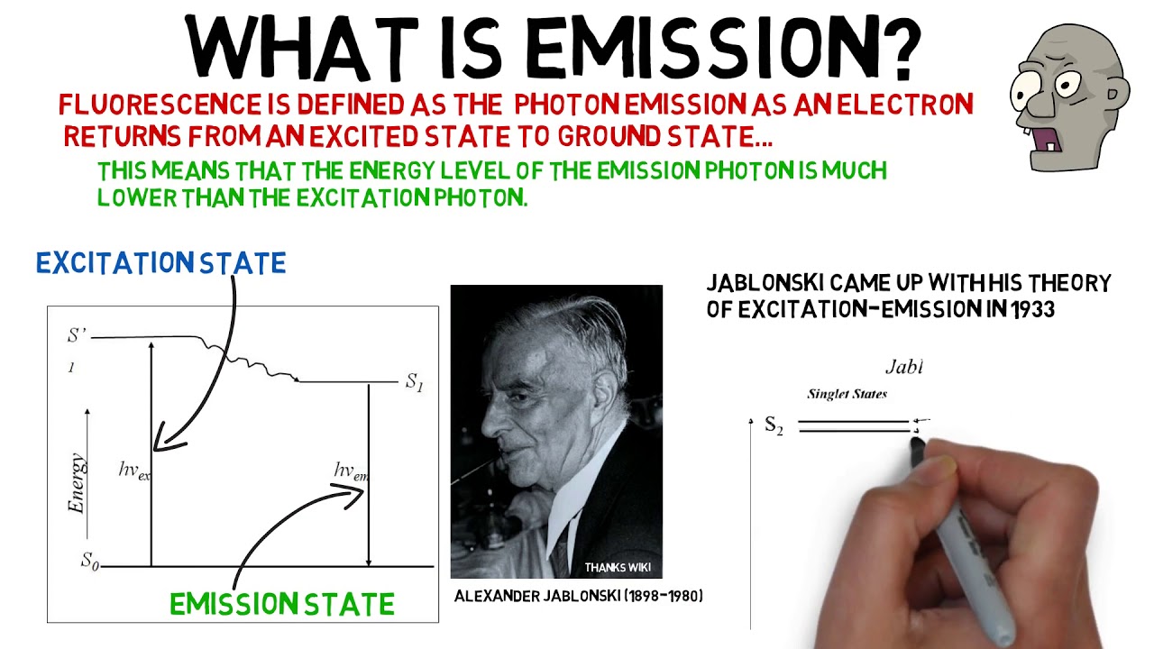Excitation & Emission   022020
