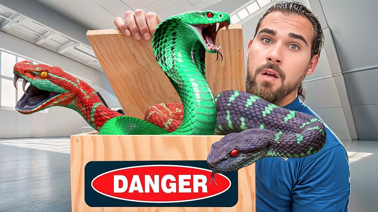 Top 3 VENOMOUS SNAKE Hybrids!