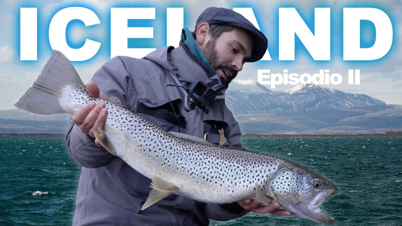 TROTE GIGANTI della TERRA dei GHIACCI || ICELANDIC ODYSSEY  PT.2