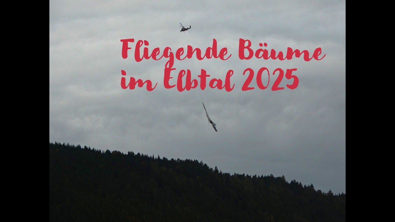 Fliegende Bäume im Elbtal 2025