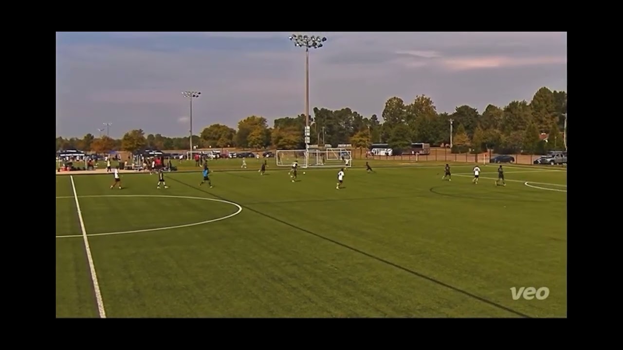 Fall highlights