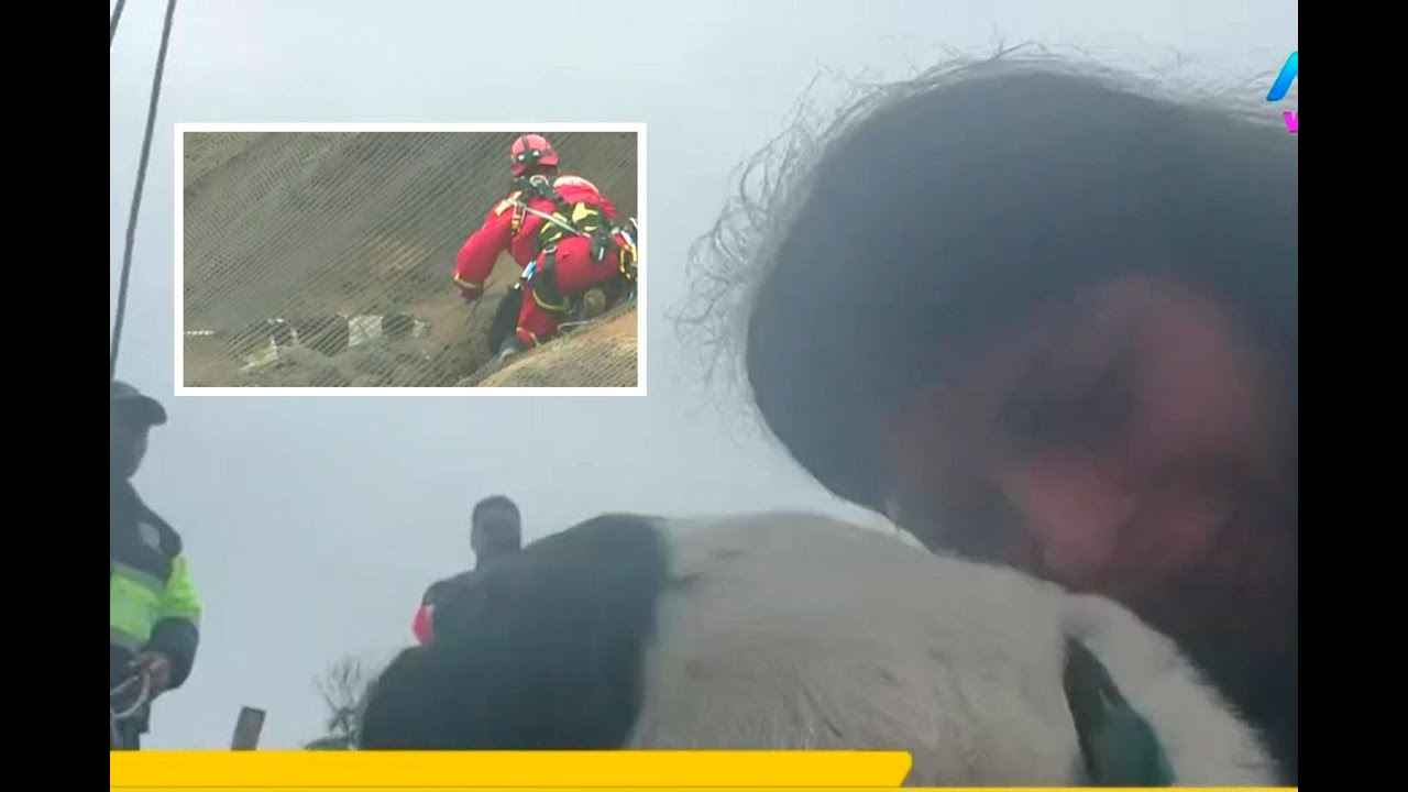 Perrito tiene tierno reencuentro con su dueña tras ser rescatado de acantilado en la Costa Verde