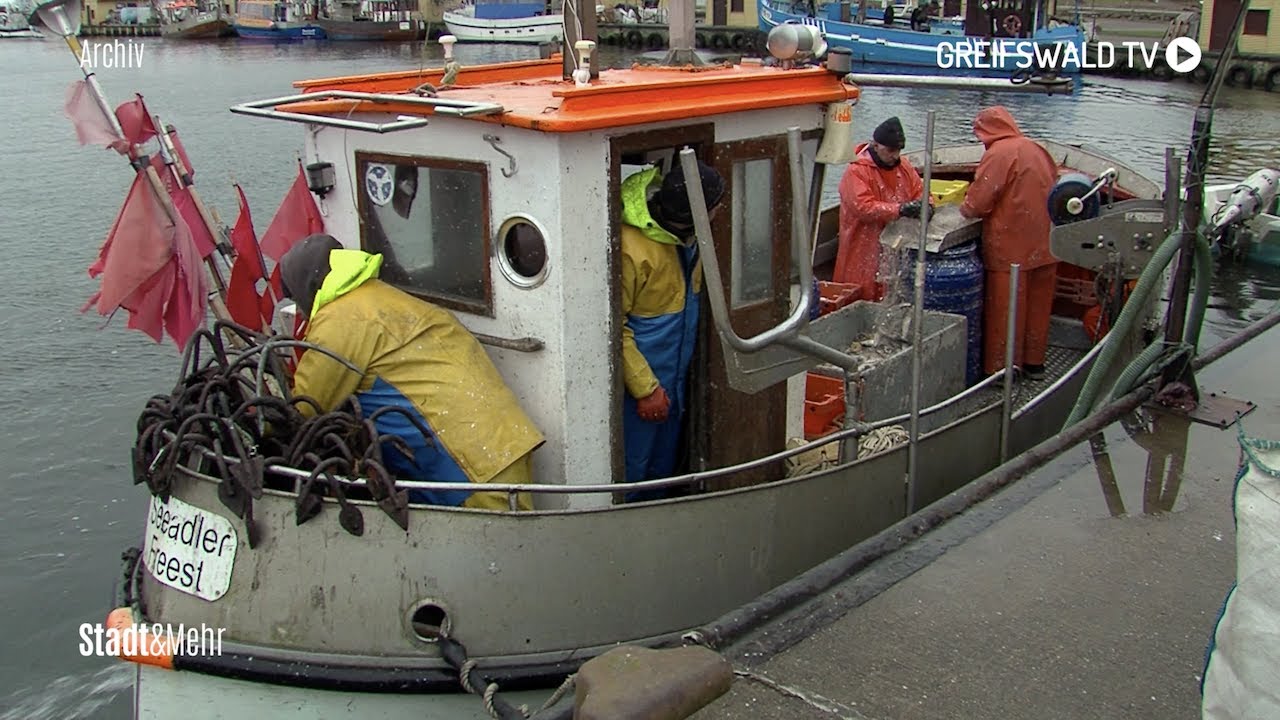 Existenzbedrohende Zustände für die Fischerei in MV