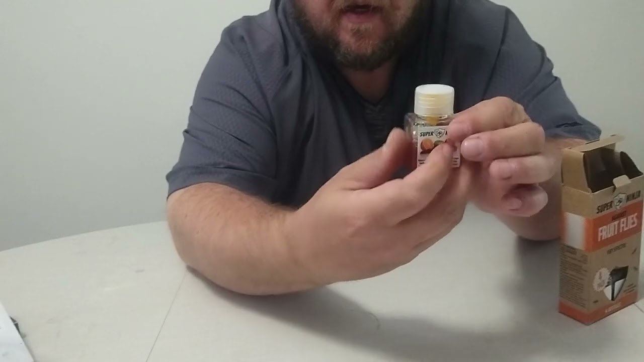 Super Ninja Fruit Flies Trap Review