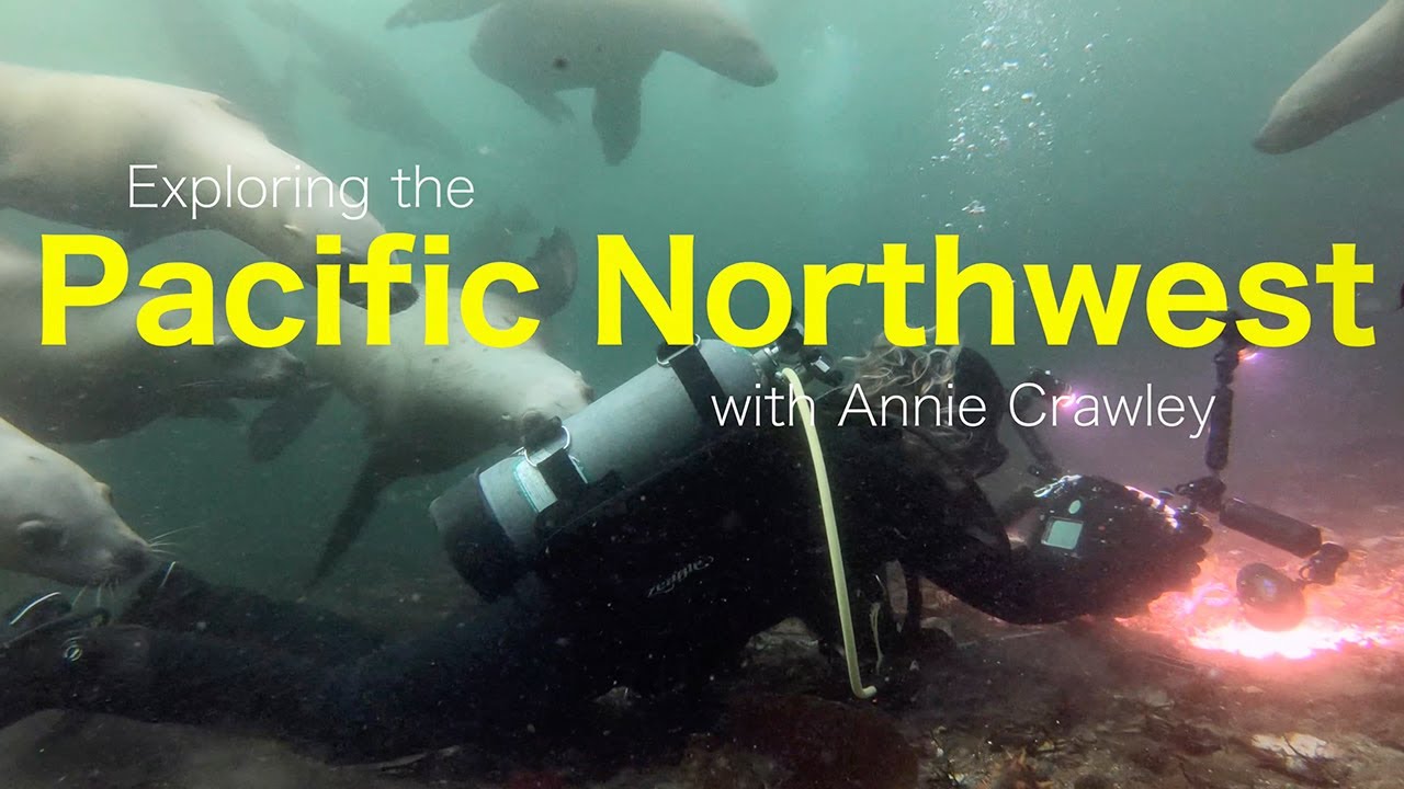 Explore The Pacific Northwest with Annie Crawley's Dive Team