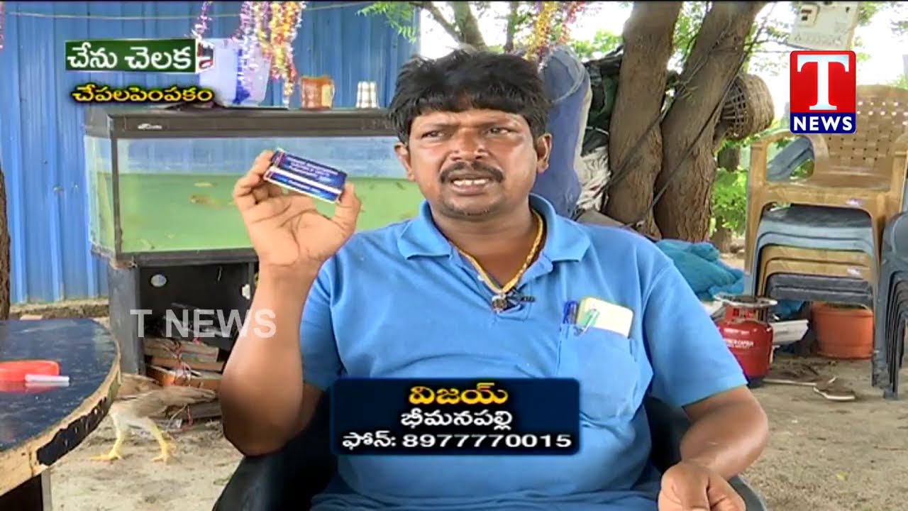 Chenu Chelaka | కొరమేను చేపల పెంపకంలో విజయ్ వినూత్న ప్రయోగం | TNews Telugu