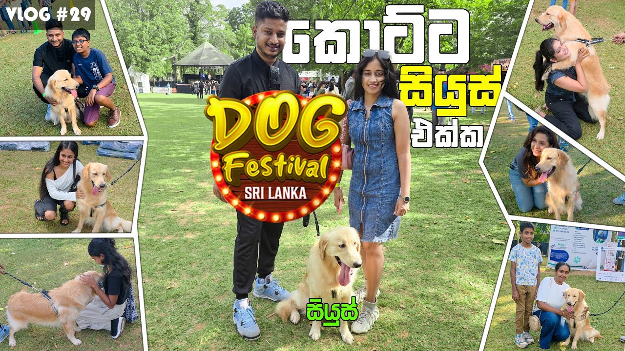 සියුස් එක්ක Dog Festival එකට ආවා | Sri Lanka Dog Festival 🐾 | Famous Zeus Golden Retriever