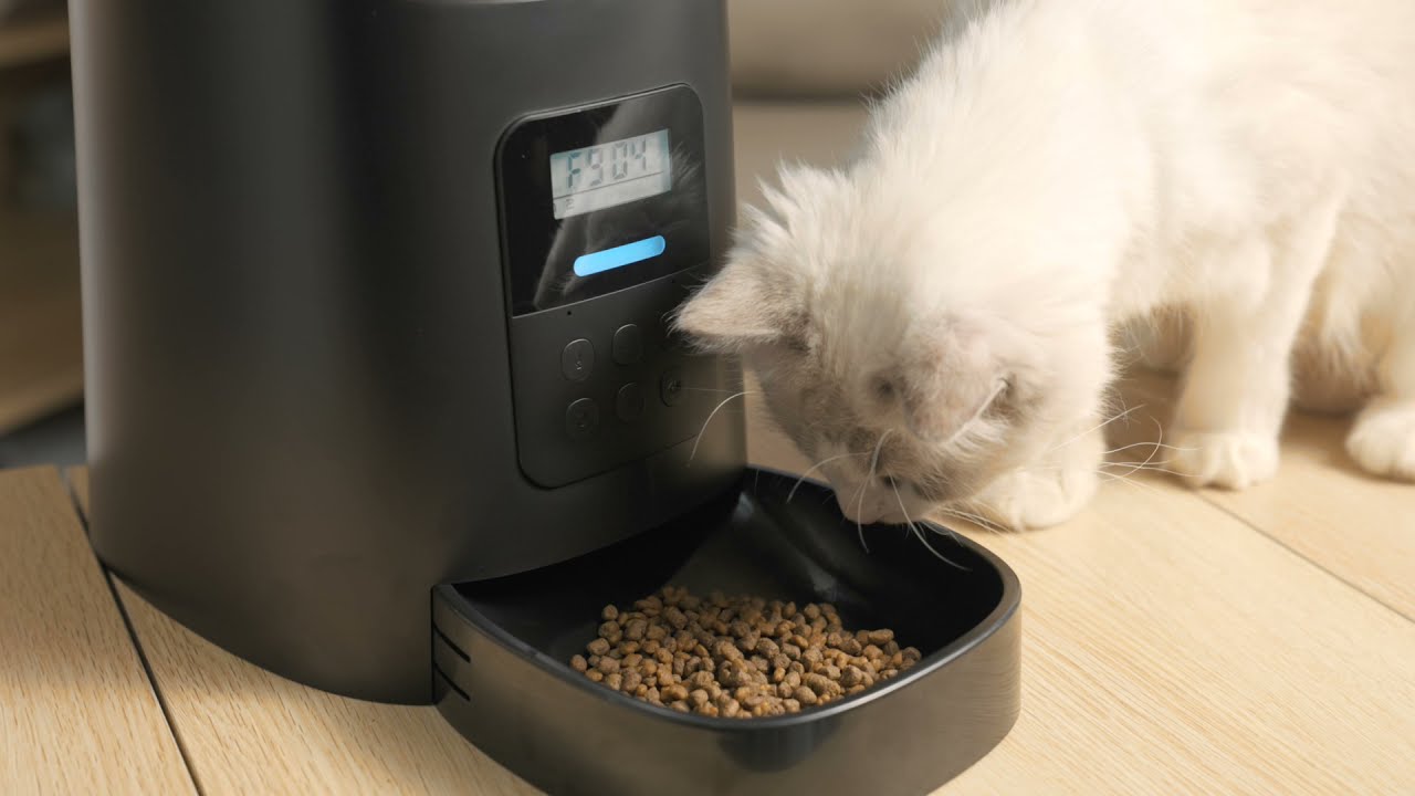 PETLIBRO Easy Feed 6L Automatic Pet Feeder | User Manual