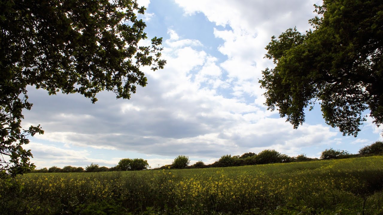 Camera Shooting Photography Shots HD In Kidderminster