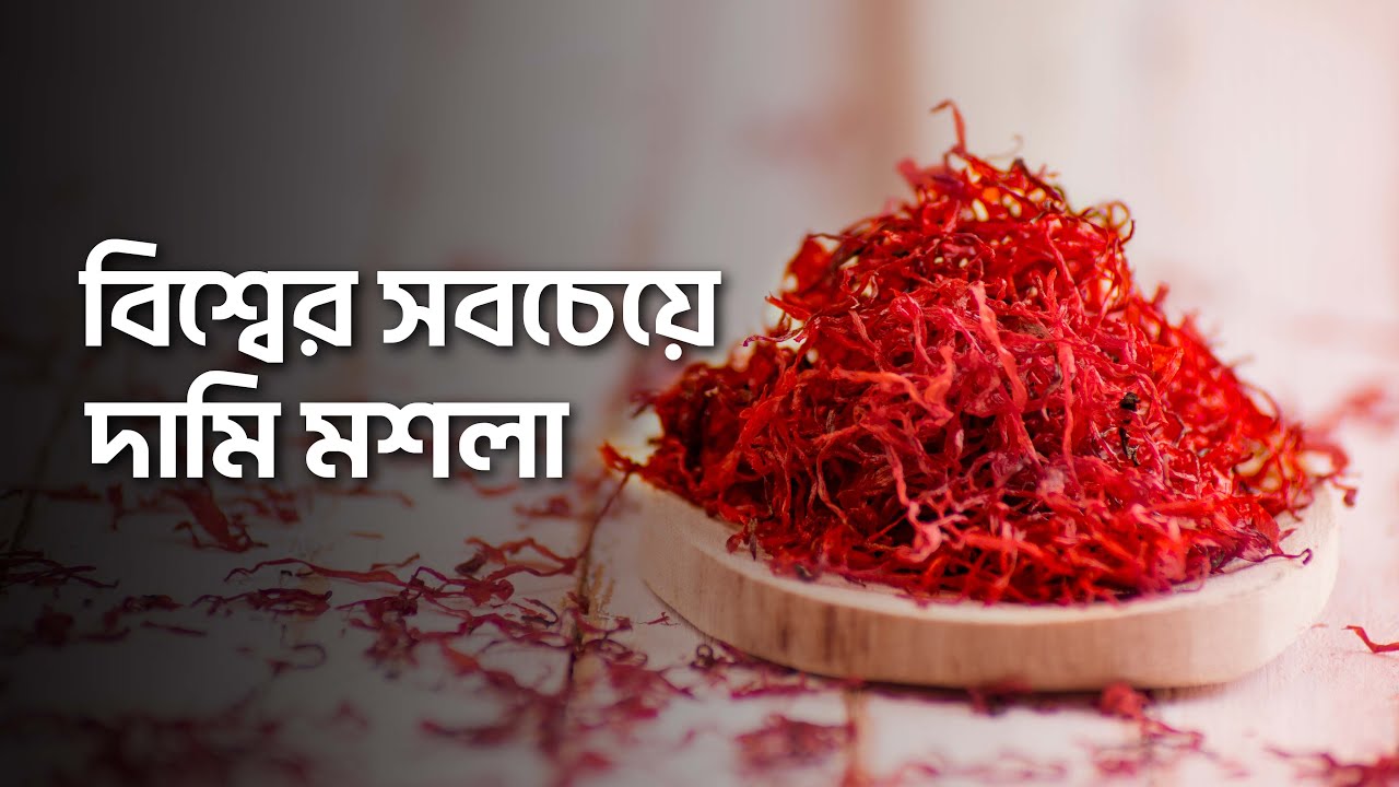 জাফরান কেন সবচেয়ে দামি মশলা ?
