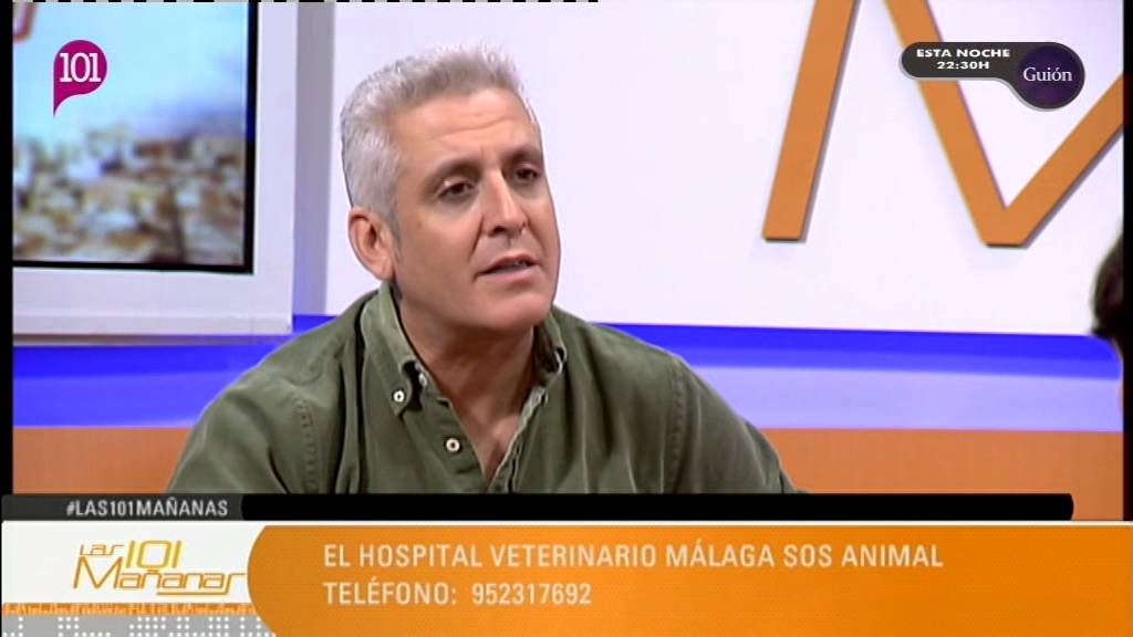 INTERVENCIÓN DE DALMIRO GARCIA DE SOS ANIMAL EN 101TV