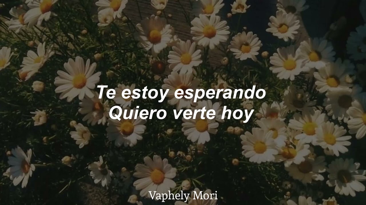 Flores - Latín Mafia // (Letra)