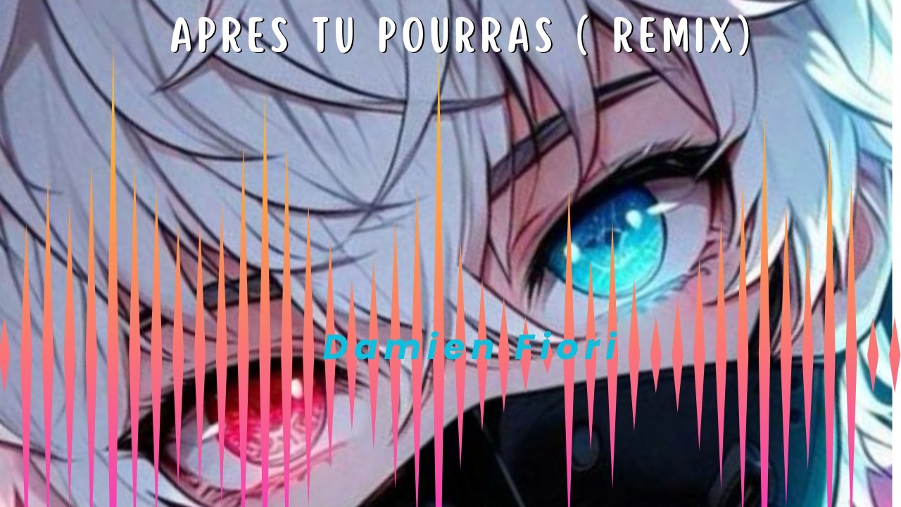 apres tu pourras  remix  - Damien Fiori