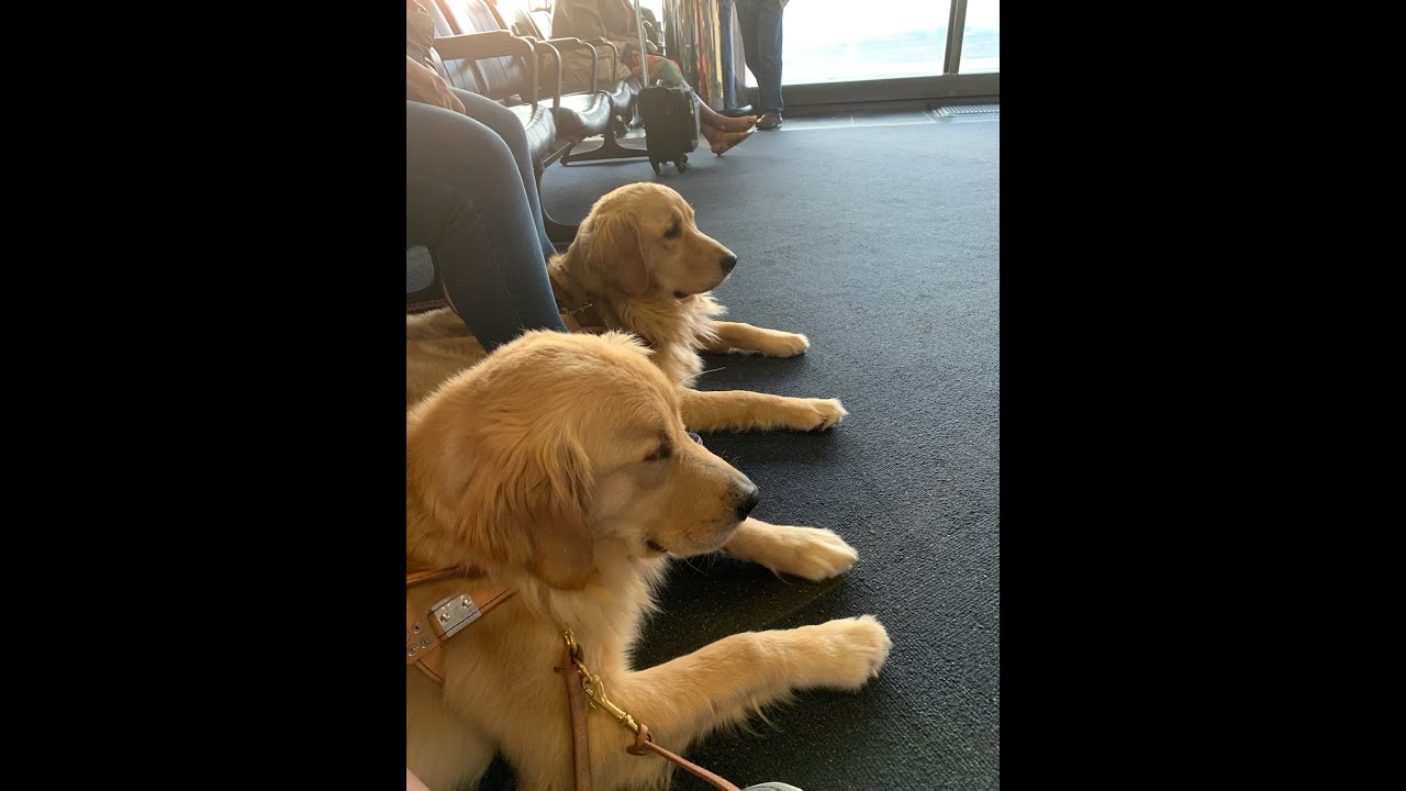 Air Travel Webinar