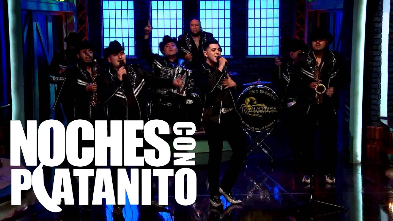 Noches Con Platanito - Alacranes Musical 