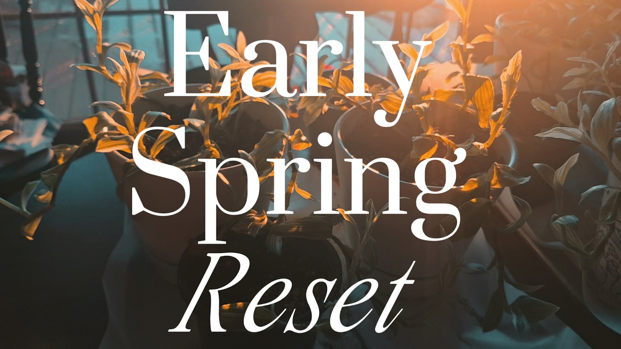 Early Spring Reset | Preparing for a Creative Season Ahead