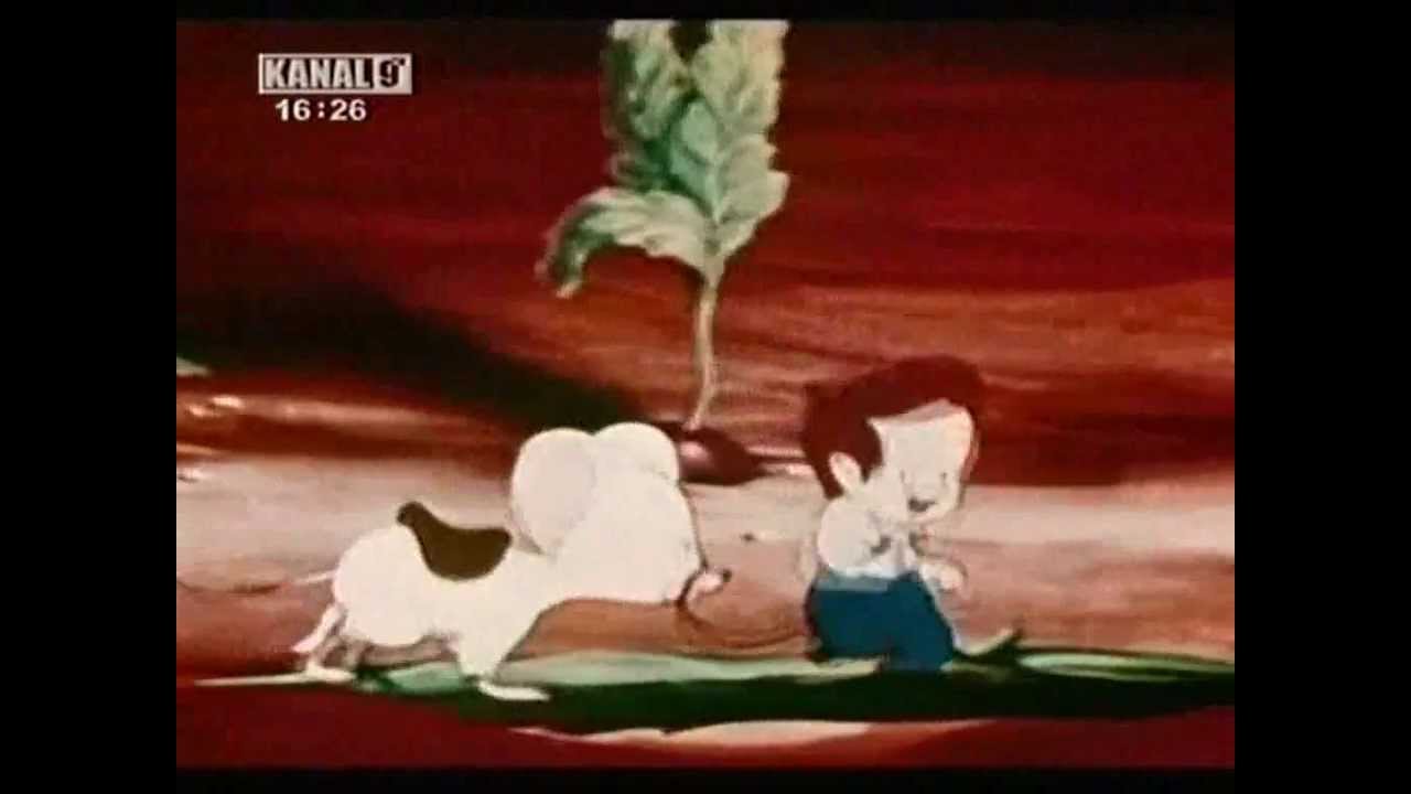 Тома Палчић