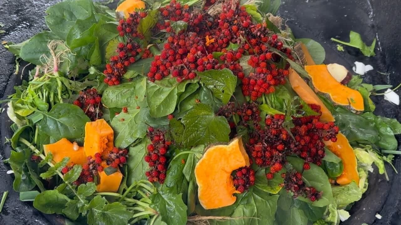 来一锅香喷喷的蔬菜汤锅