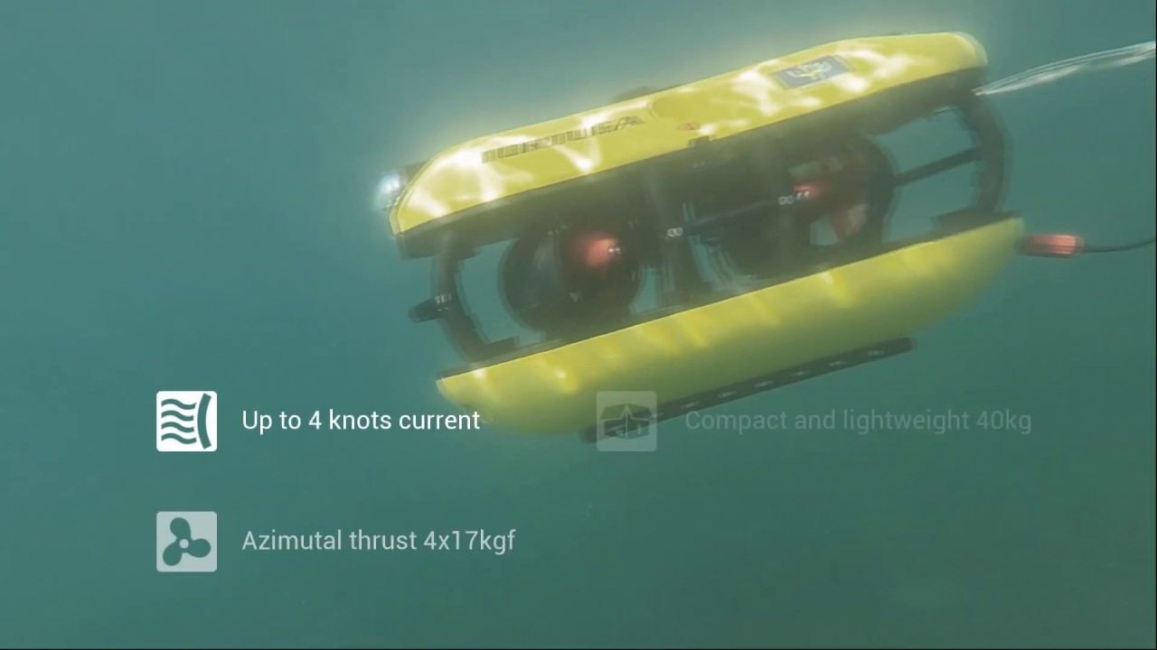 ST Clip Tortuga 2019