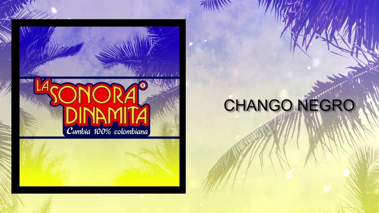 Chango Negro - La Sonora Dinamita (Audio)