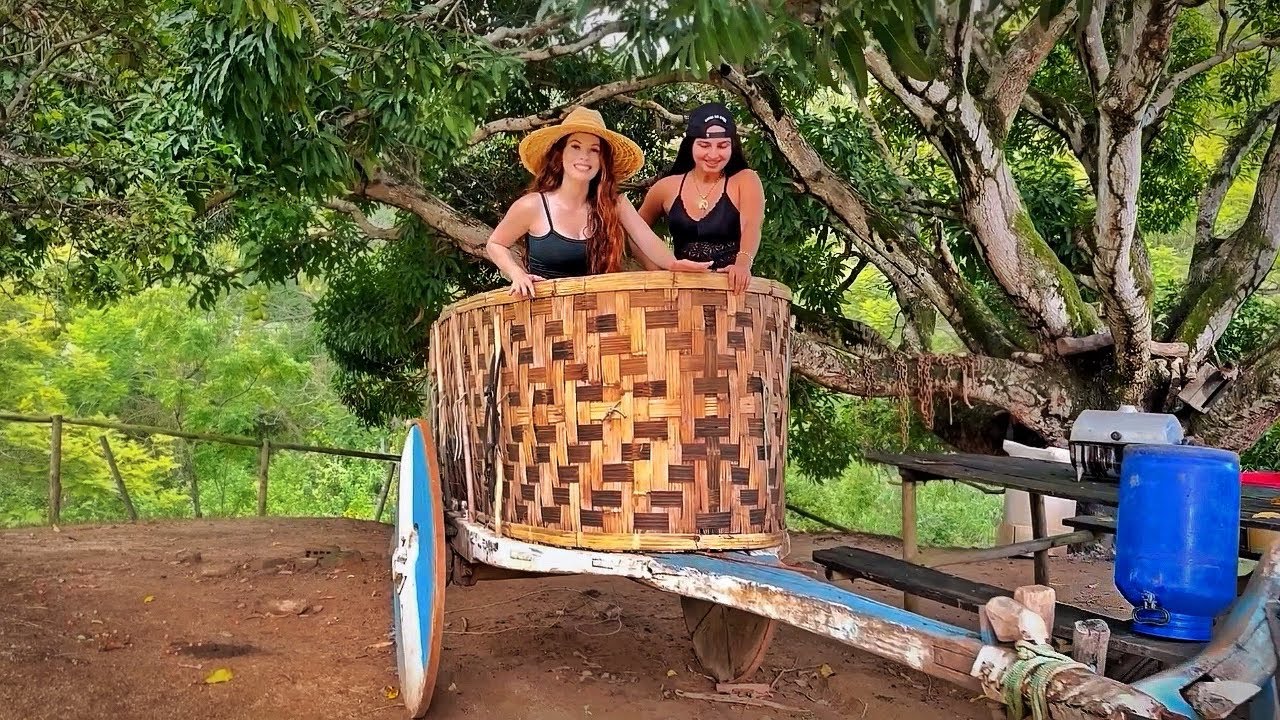 Boi de Canga puxando Carro de Boi / História e Terra da Sabrina Damascena/ irrigação de pasto/SÍTIO