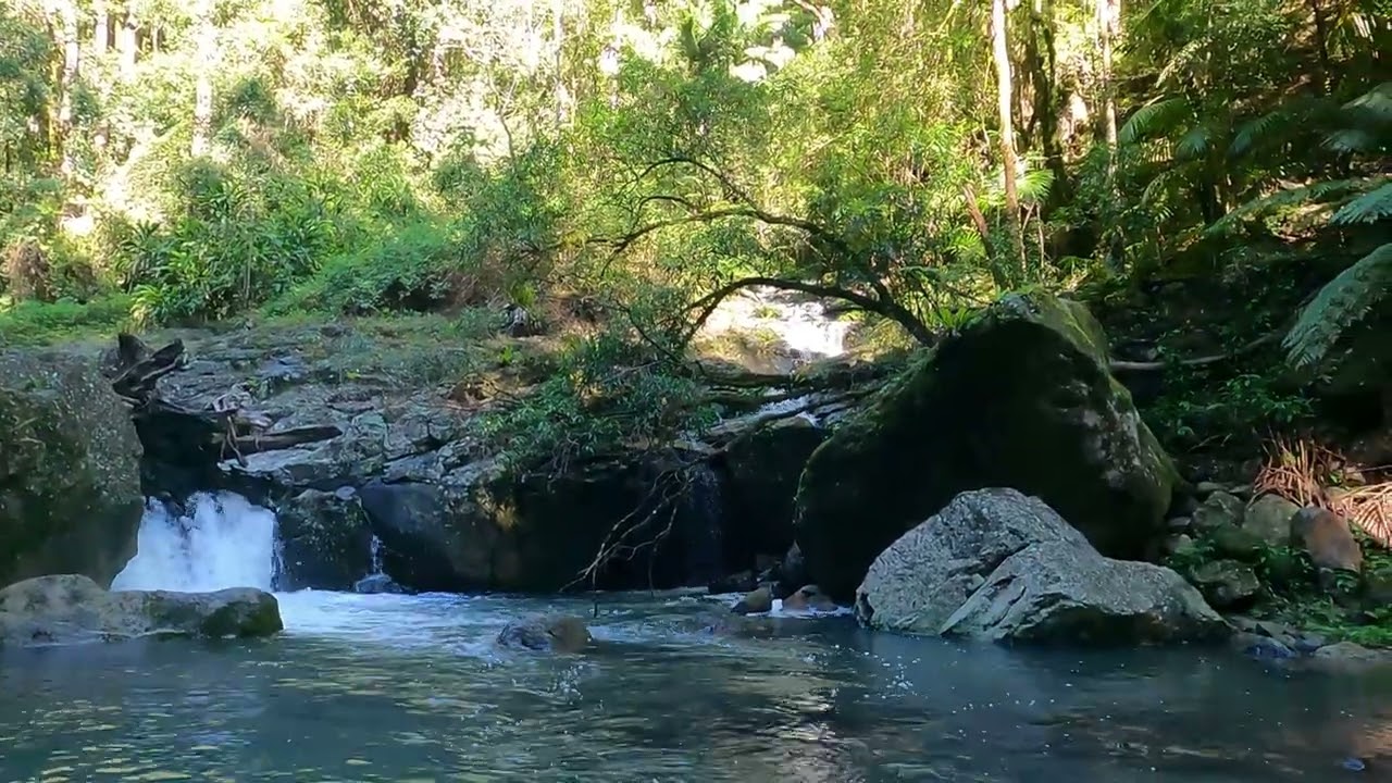 Unforgettable Palm Falls