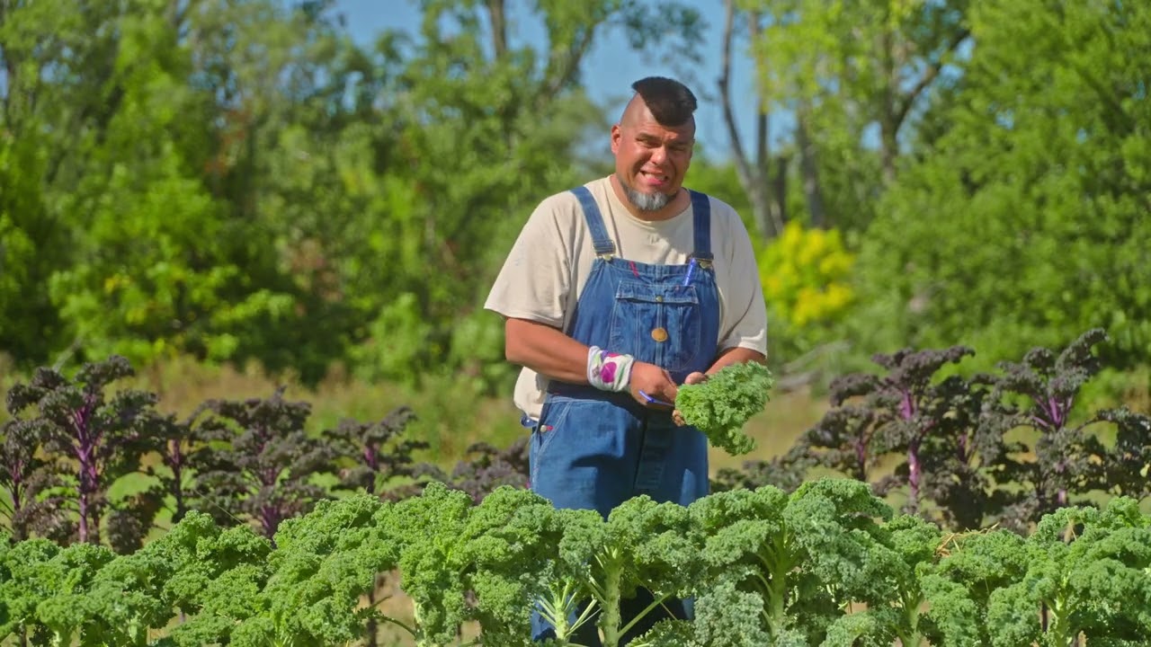 Harvesting (Bunched Greens, Loose Cut Greens and Root Crops)