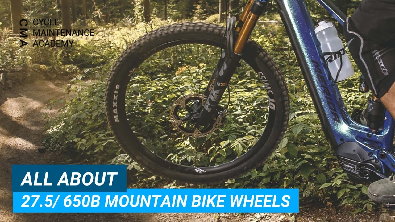 All about 27.5/ 650B Mountain Bike Wheels
