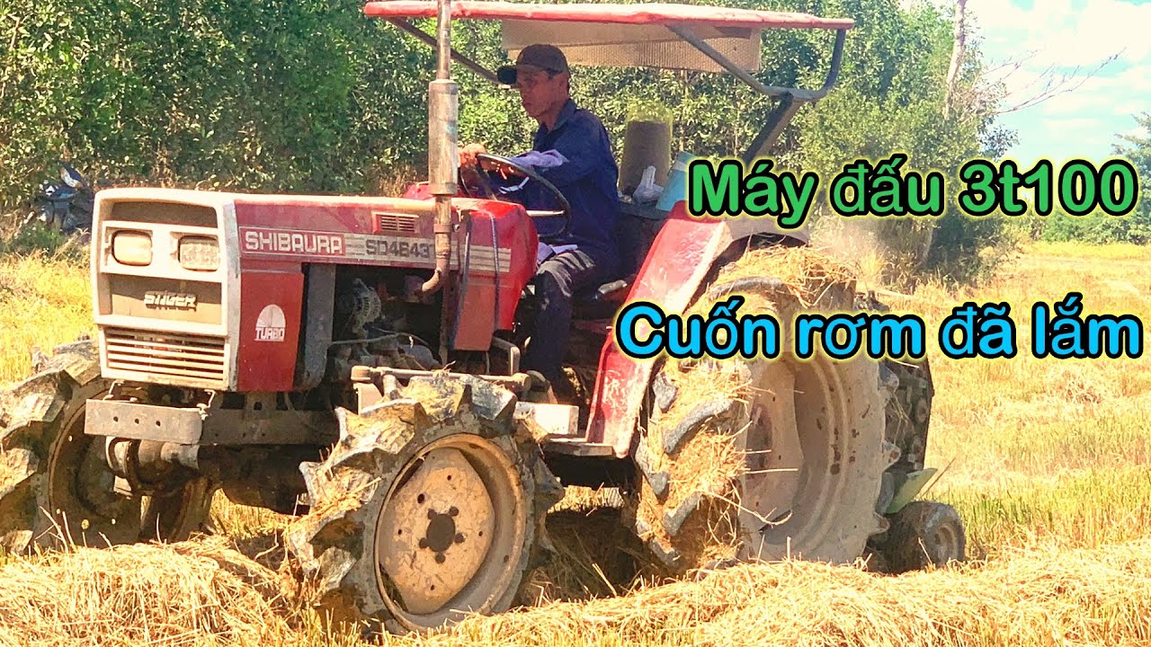 Shibaura 4643 cuốn rơm ở ao cha đồng lách tỉnh đồng Nai 