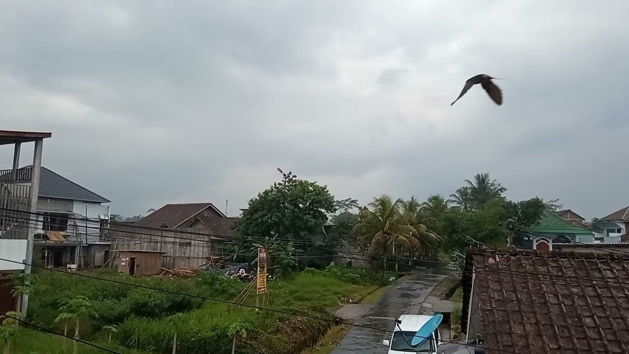 NONSTOP LAGU TIMUR VIRAL ! Playlist Lagu Timur Paling Enak Buat Goyang & Santai