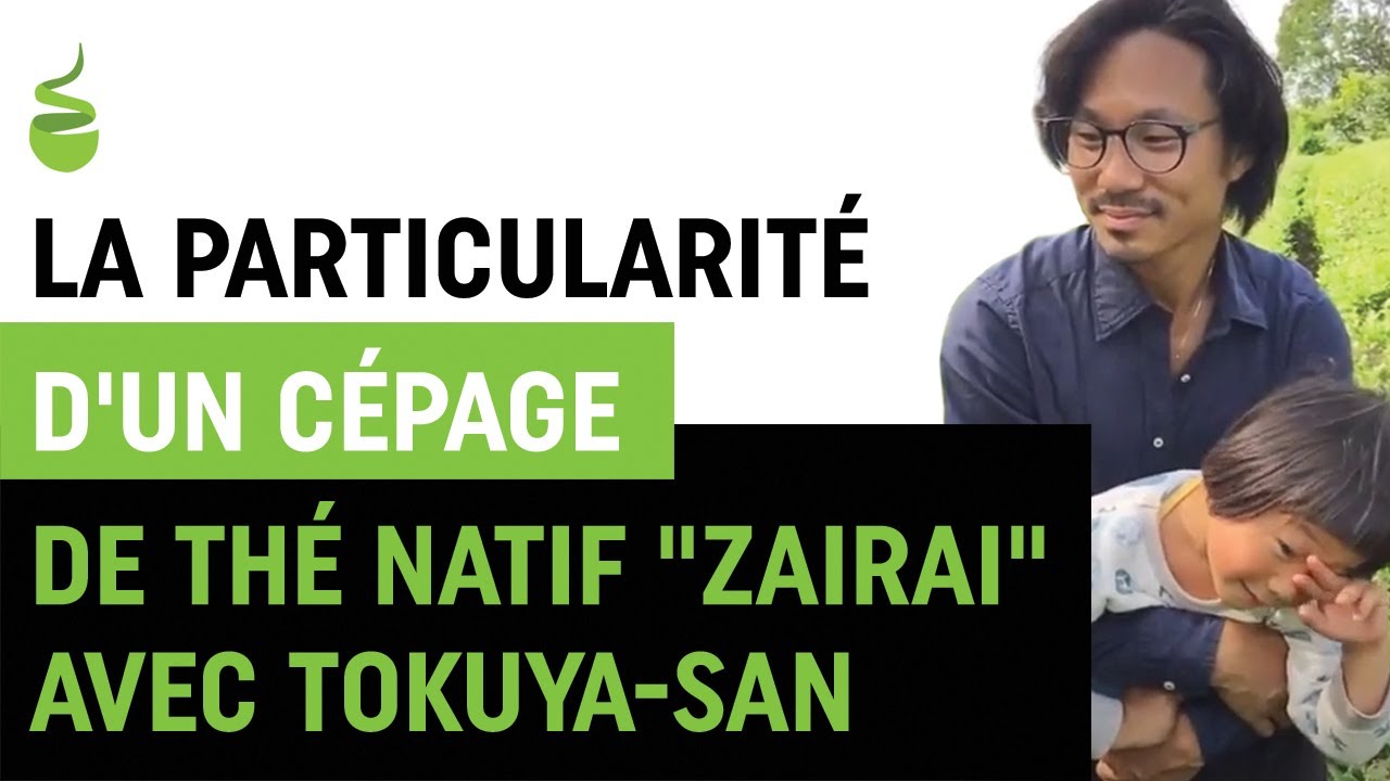 la particularit&eacute; d'un c&eacute;page de th&eacute; natif 