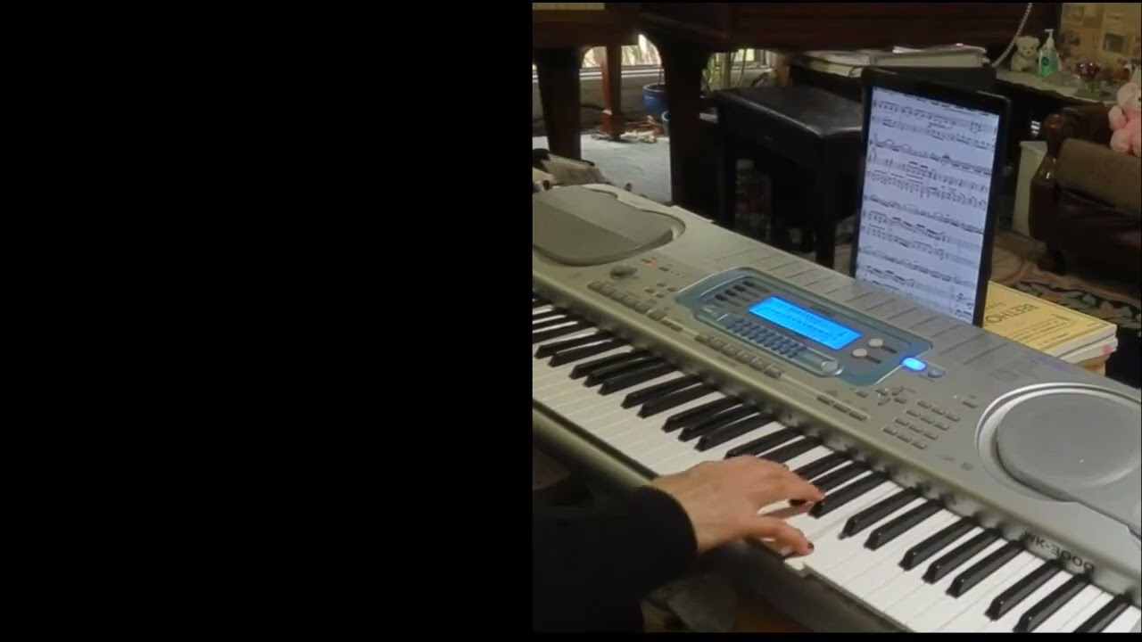 Violin Concerto 1041 J S Bach  Violin part 1