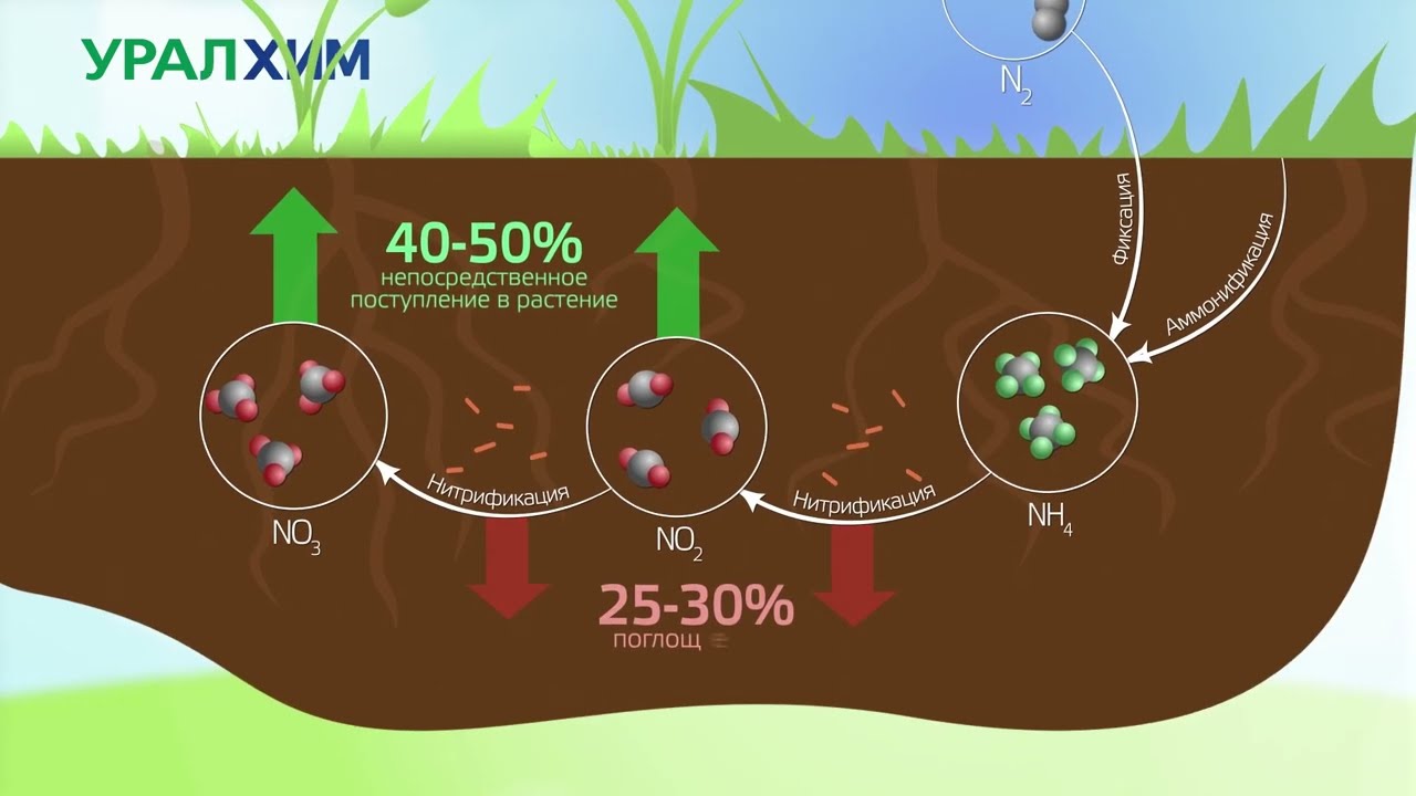 Основы агрономии (часть 2)