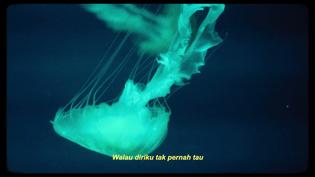 Anjuletta - Kisah Bahagia [ Footage Lyric Video ] FLV