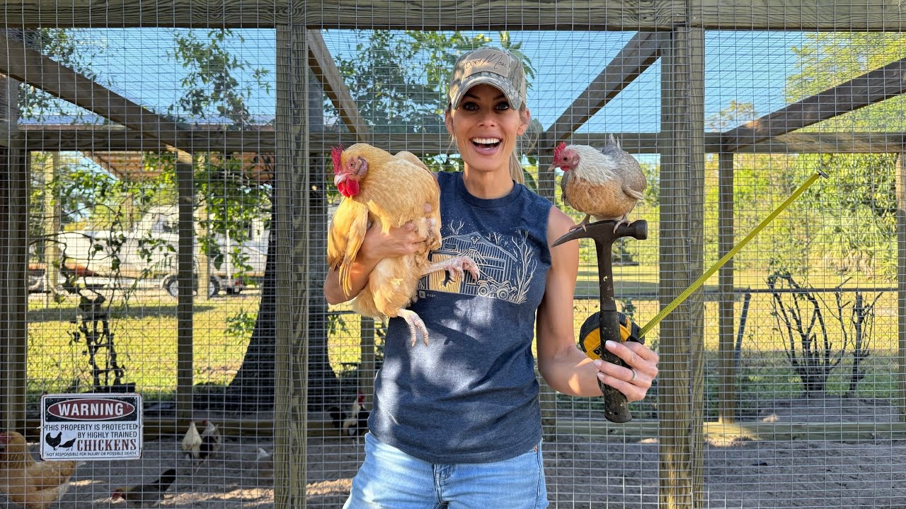 BUILDING A CHICKEN RUN: Start to Finish