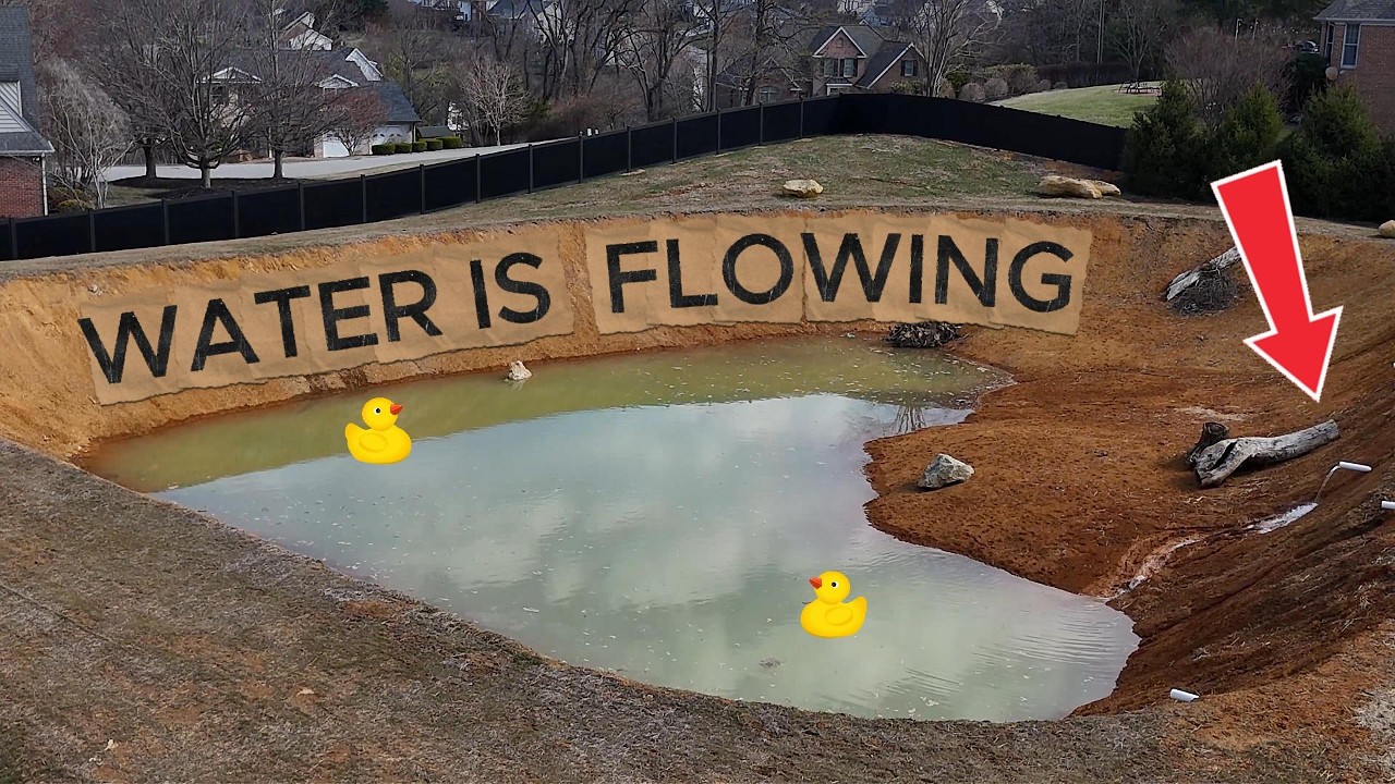 Pond Job Day 2 | Operation is a Success | Final Finishes