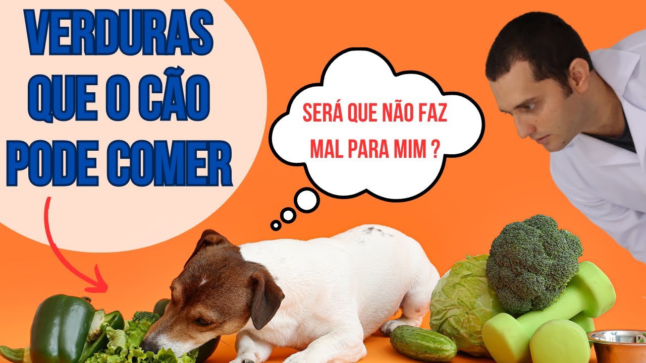 7 verduras que o cachorro pode comer