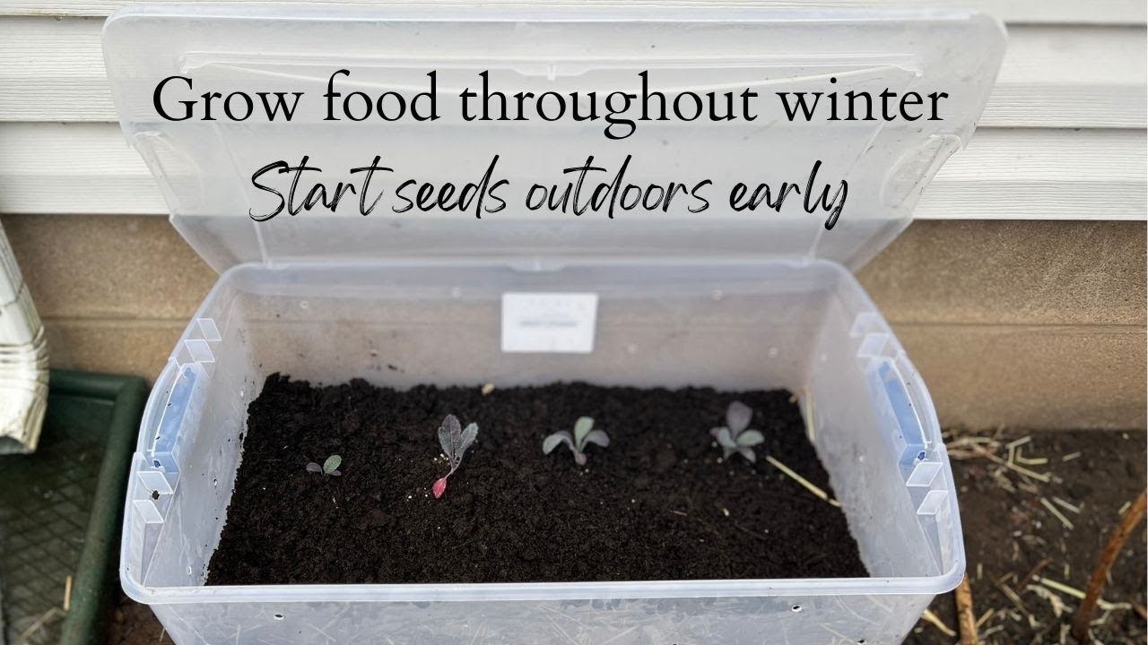 CHEAP DIY cold frame and outdoor seed starting