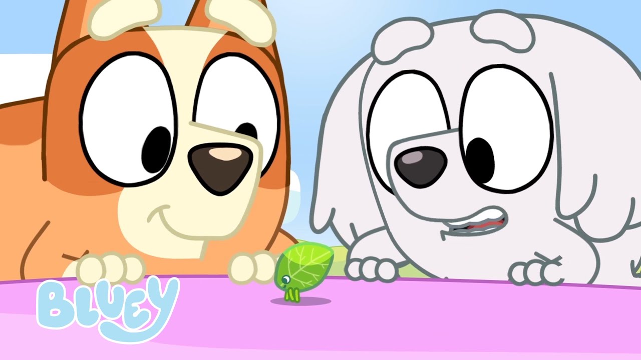 Les amis de Bluey et Bingo | Bluey Français Chaîne Officielle