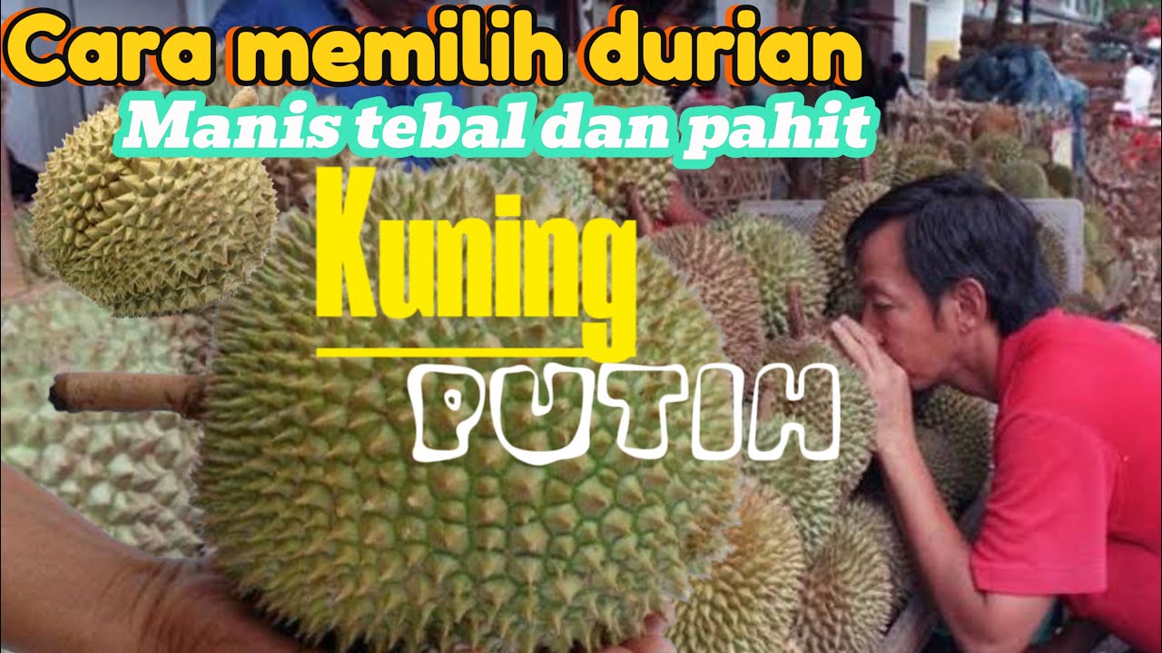 SETELAH INI ANDA PASTI JAGO 