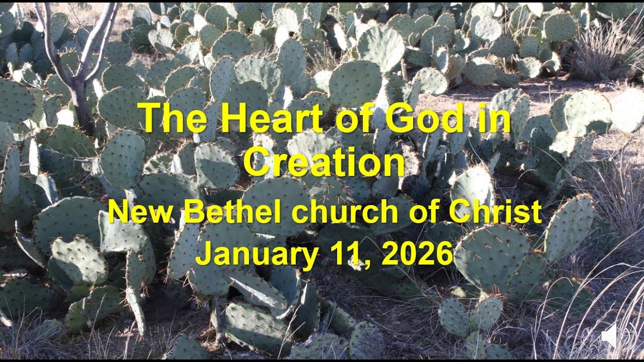 Seeing the Heart of God in Creation